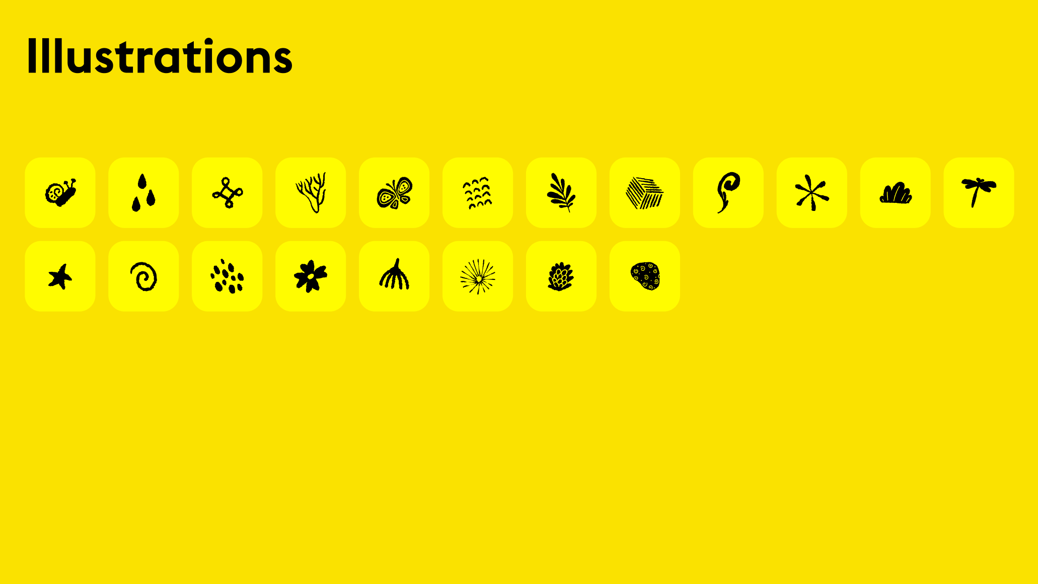 Illustrations